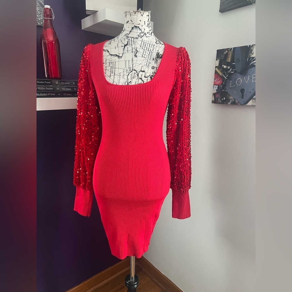 7 for $30 Ruby Jane Dress with Sequined Long Sleeves